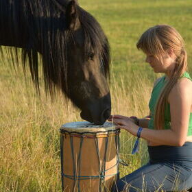 Musik in der Natur und mit Pferden