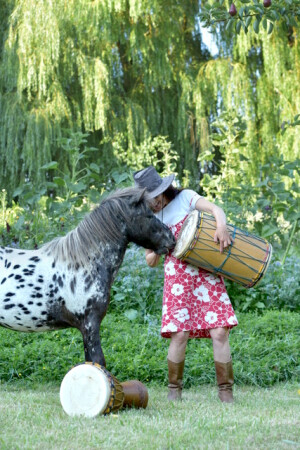 tarme und Pferd